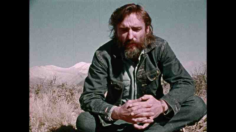The American Dreamer (1971) Screenshot 3