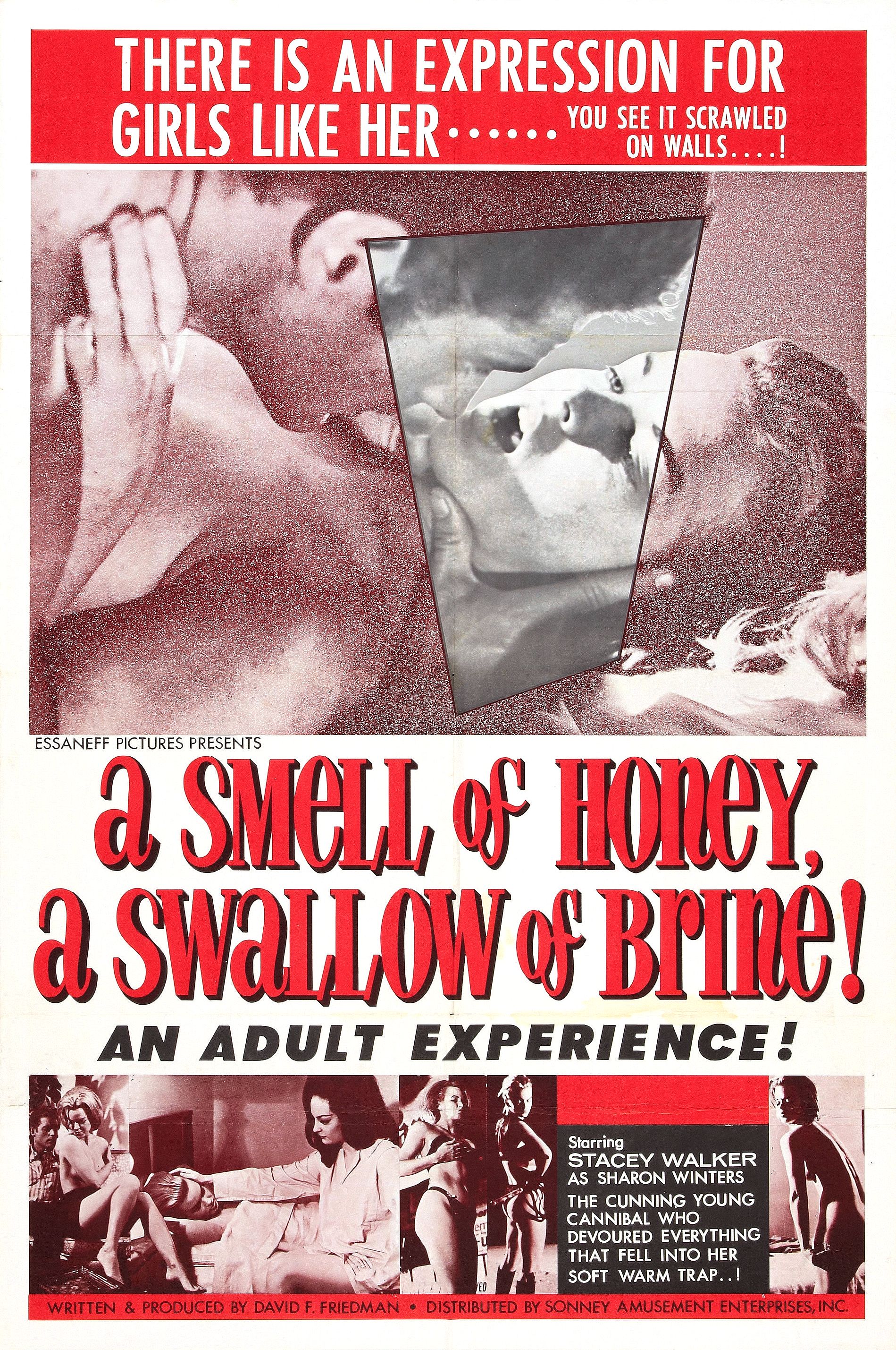 A Smell of Honey, a Swallow of Brine (1966) starring Stacey Walker on DVD on DVD