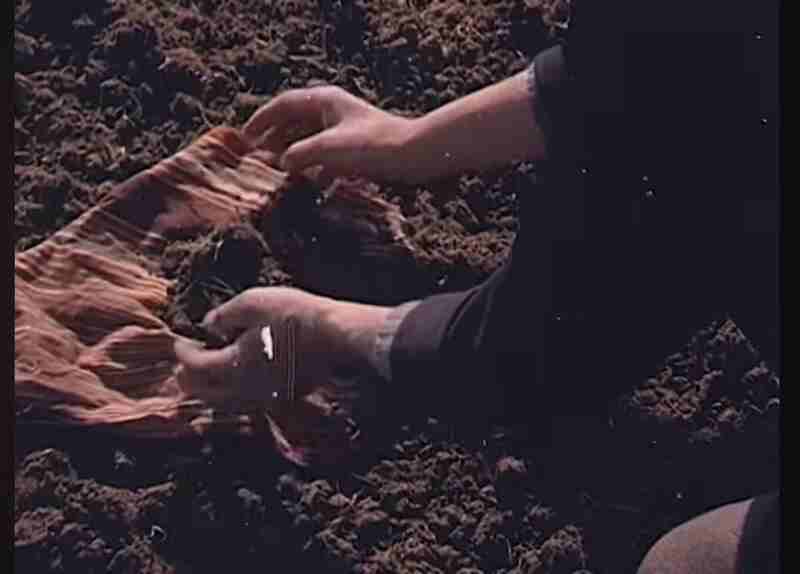 Baba Kartal (1979) Screenshot 3
