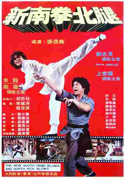 The New South Hand Blows, North Kick Blows (1981) with English Subtitles on DVD on DVD