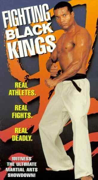 Fighting Black Kings (1976) starring Charles Martin on DVD on DVD