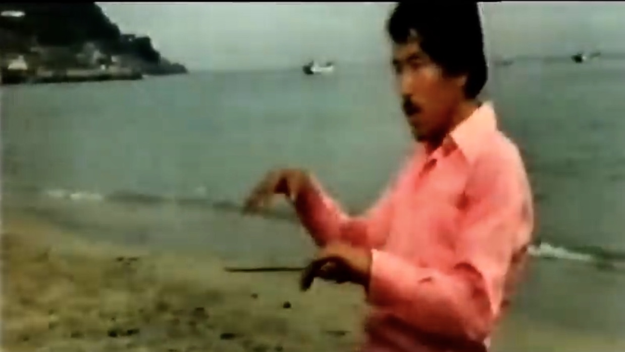 Jeongmujibo (1981) Screenshot 1 