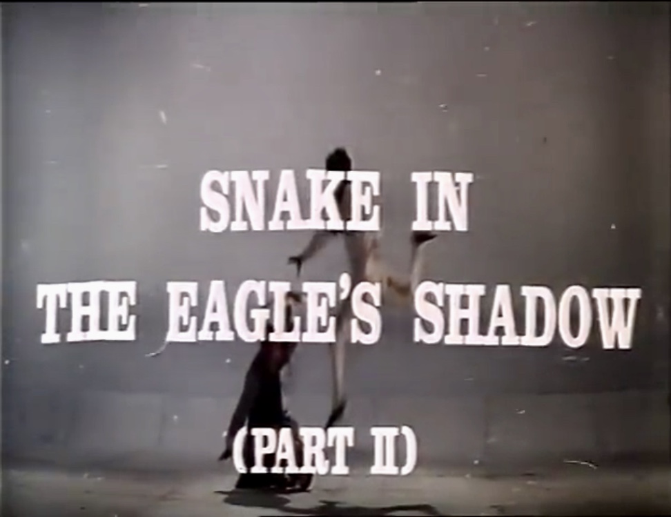 Snake in the Eagle's Shadow II (1978) Screenshot 1 