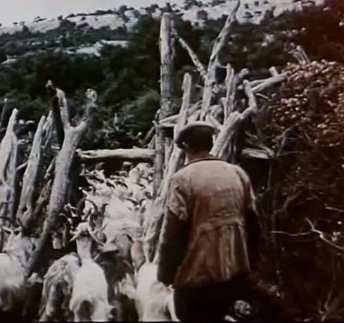 Orgosolo's Shepherds (1958) Screenshot 3