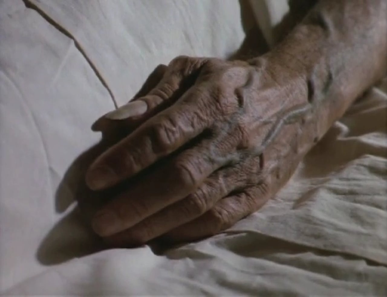 Pura sangre (1982) Screenshot 3