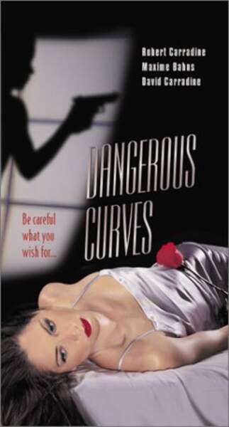 Dangerous Curves (2000) Screenshot 3