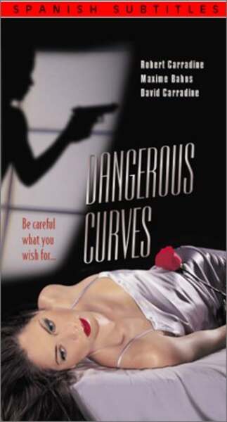Dangerous Curves (2000) Screenshot 4