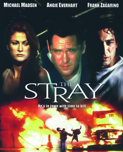 The Stray (2000) Screenshot 1 
