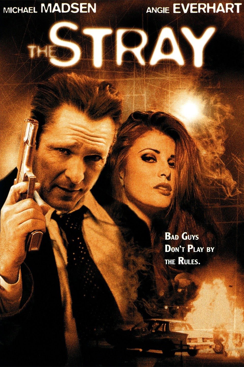 The Stray (2000) starring Michael Madsen on DVD on DVD