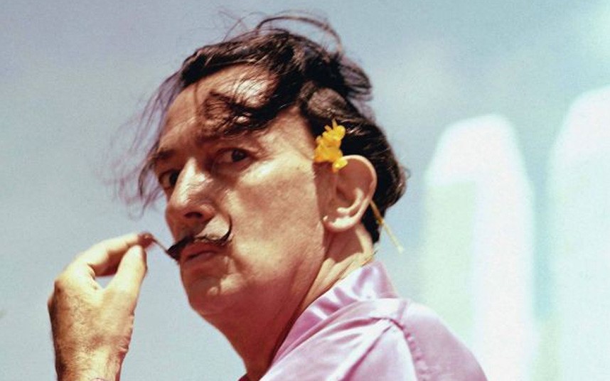 Soft Self-Portrait of Salvador Dali (1970) Screenshot 1