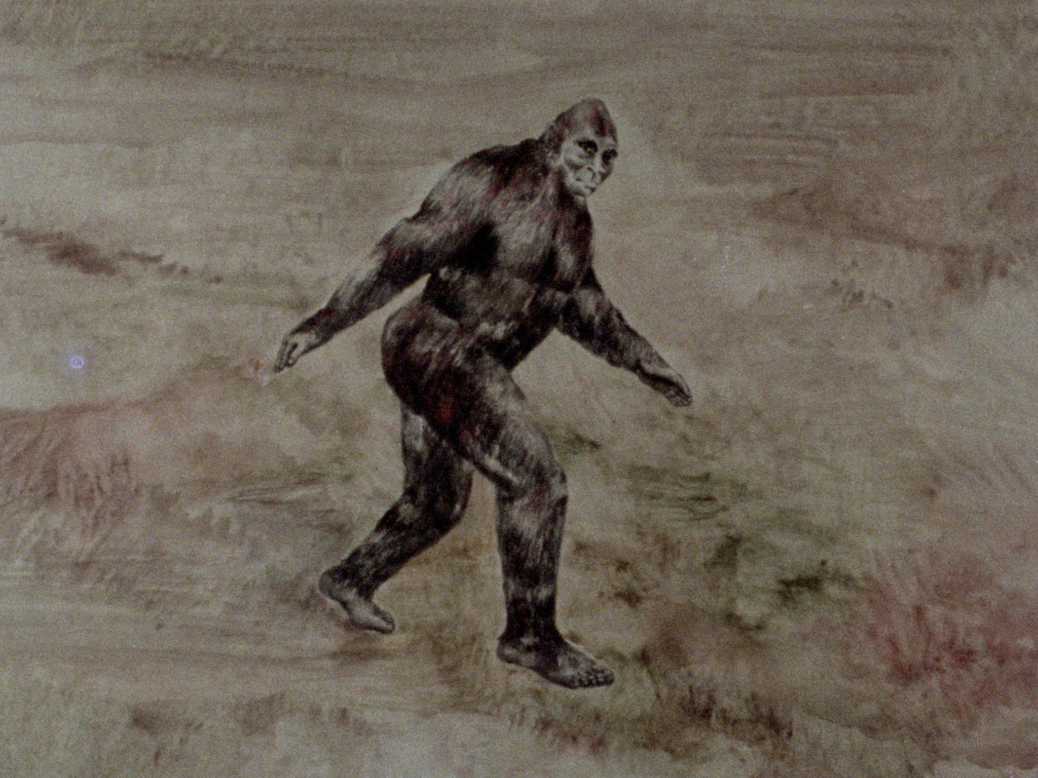 In Search of Bigfoot (1976) Screenshot 5 