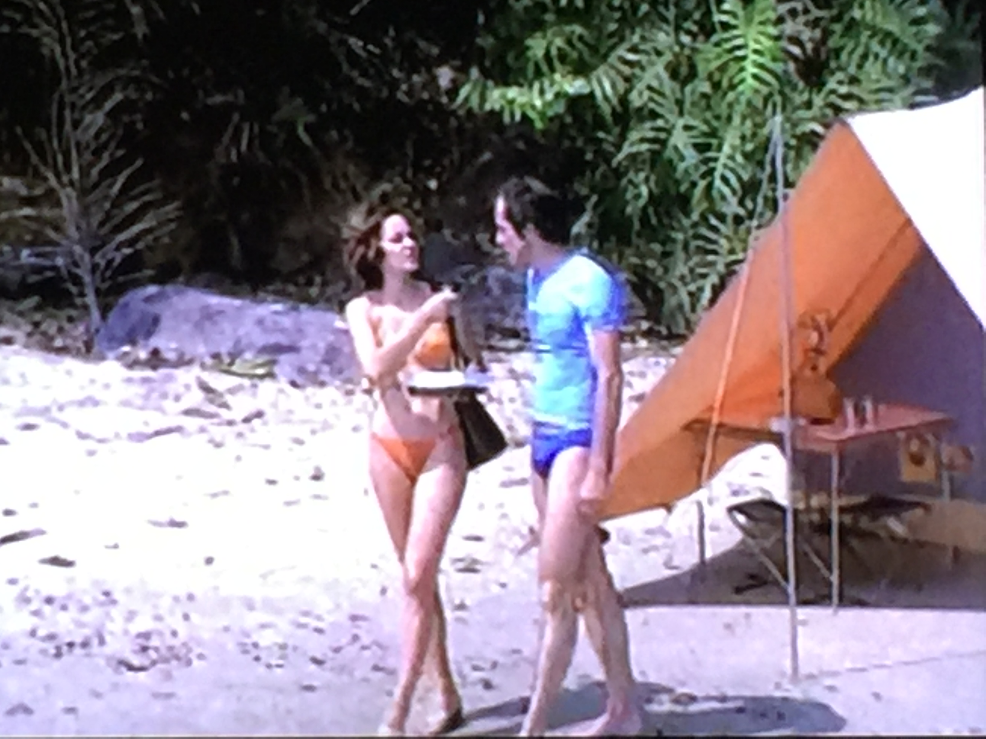 The Island of Prohibited Pleasures (1979) Screenshot 4