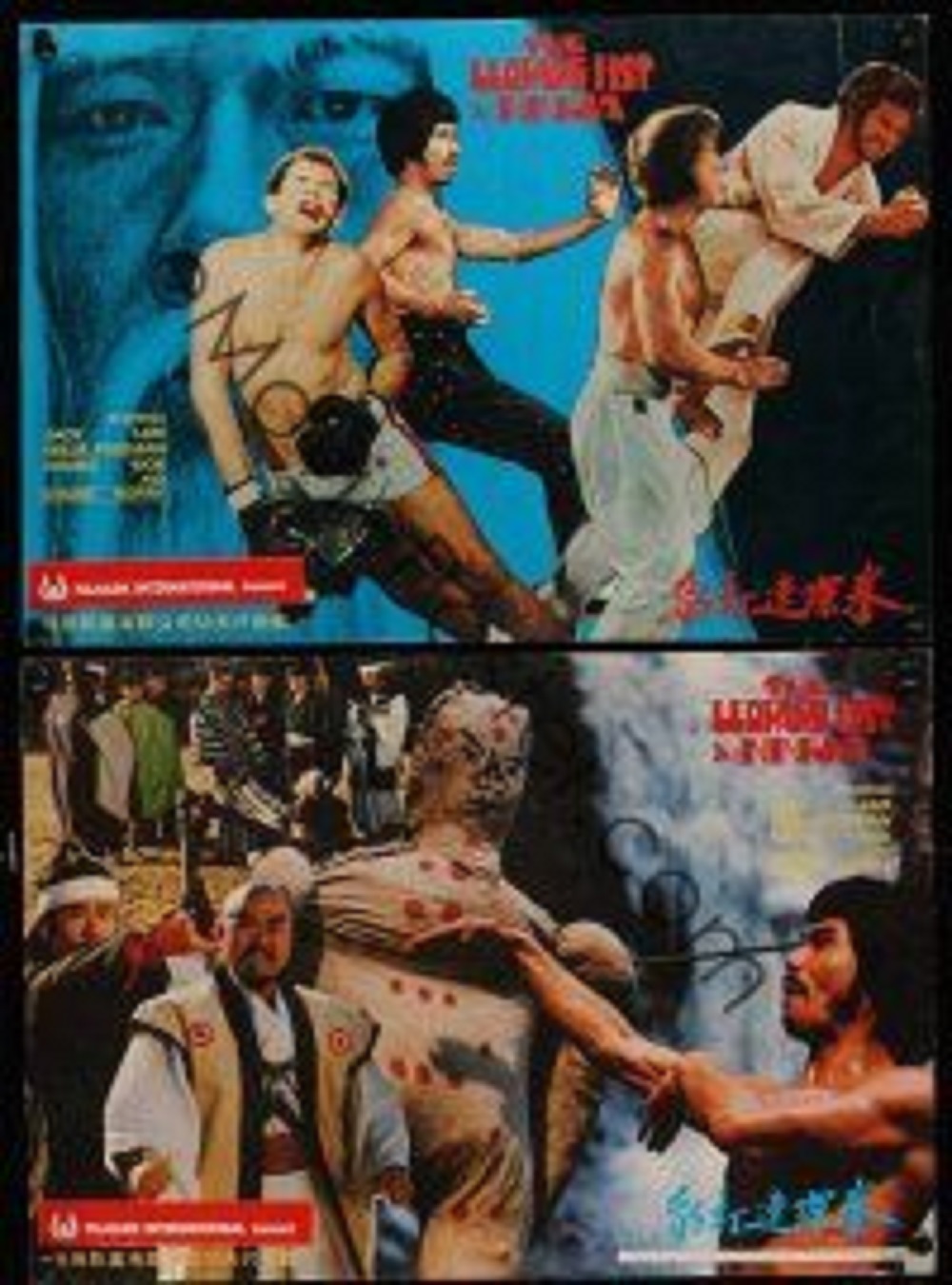 The Leopard Fist Ninja (1982) Screenshot 4