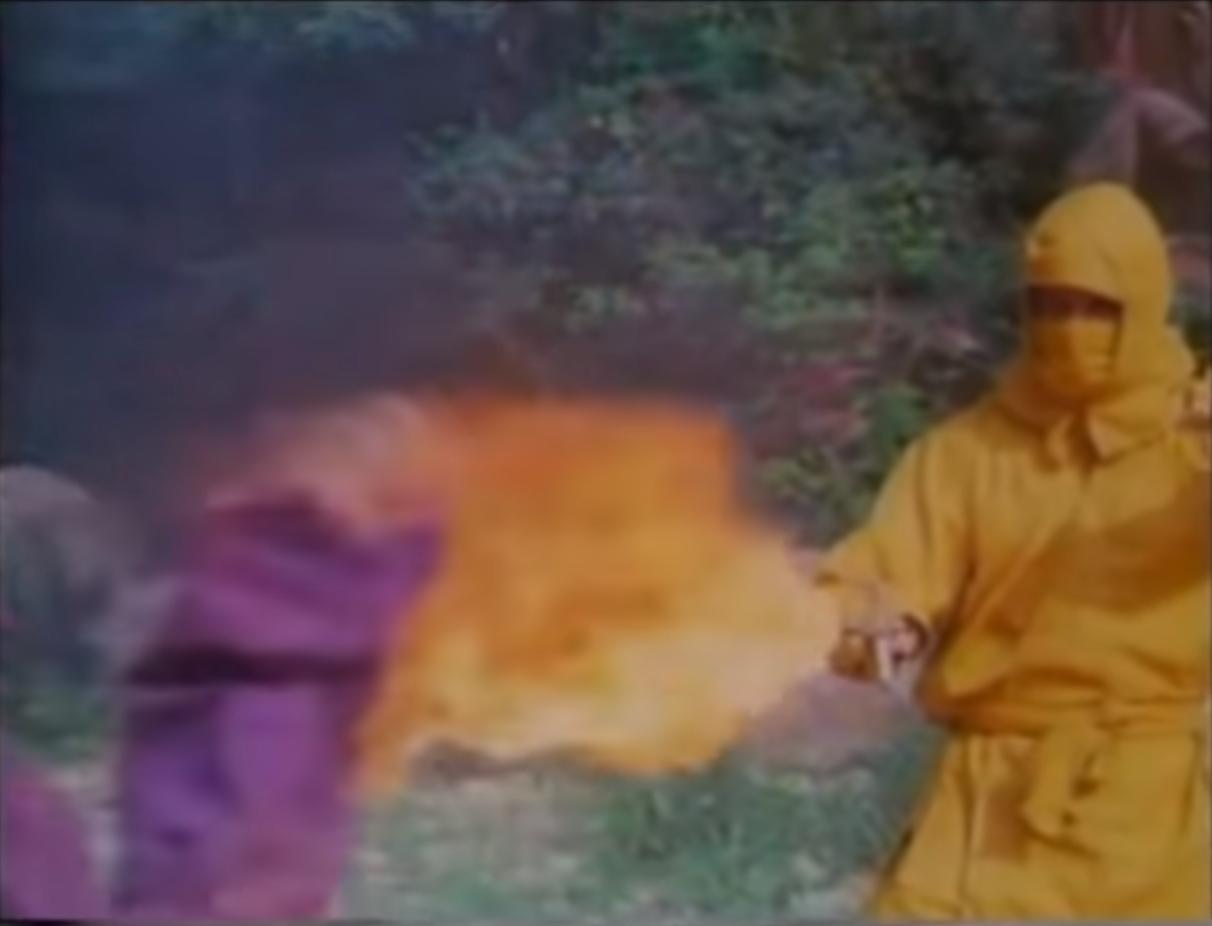 Ninja Project Daredevils (1985) Screenshot 4