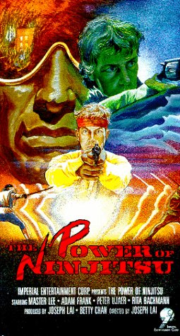 The Power of Ninjitsu (1988) Screenshot 1 