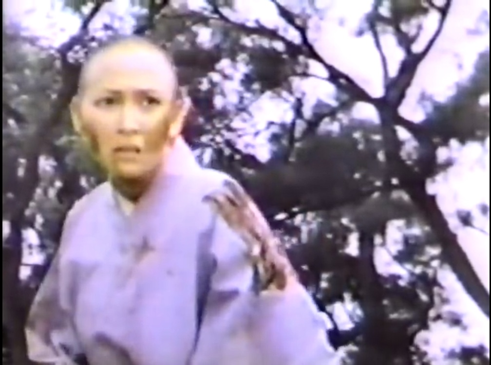 Revenge of the Shogun Women (1977) Screenshot 1