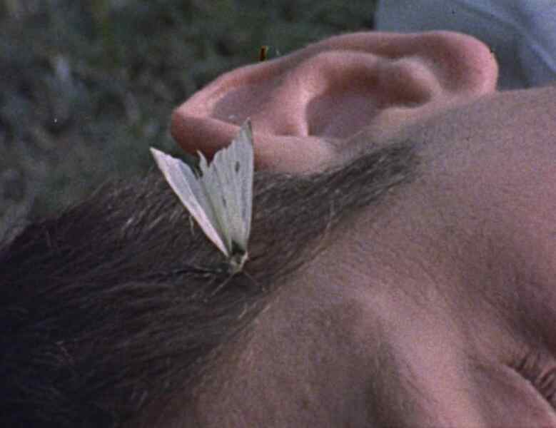 The She-Butterfly (1973) Screenshot 2