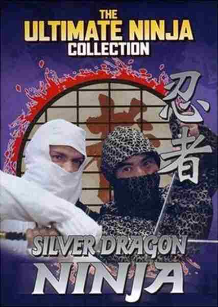 Silver Dragon Ninja (1986) Screenshot 1