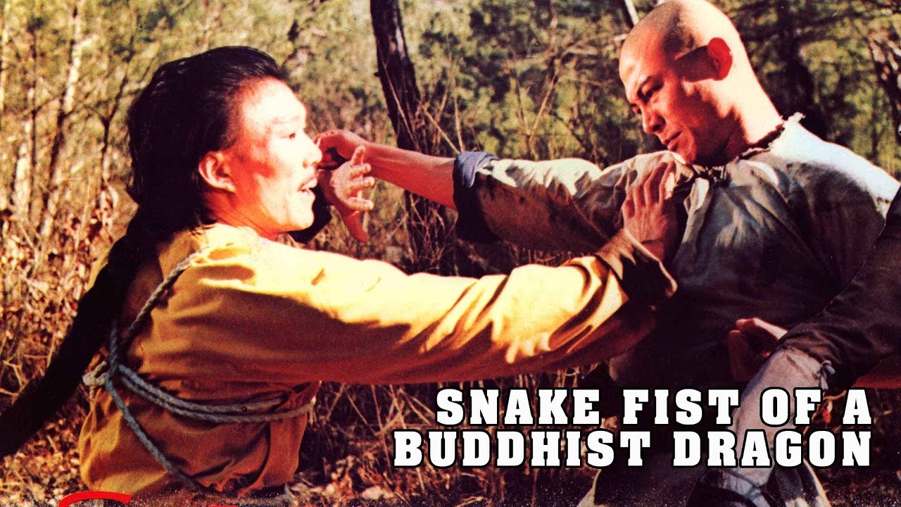 Snake Fist of a Buddhist Dragon (1979) Screenshot 4
