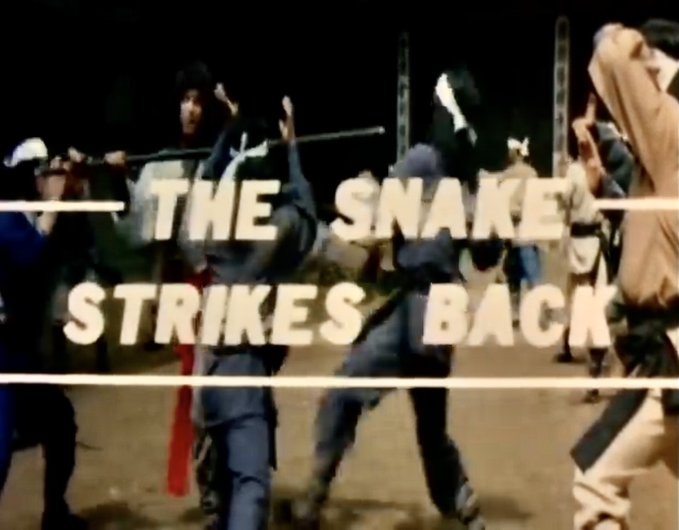 The Snake Strikes Back (1980) Screenshot 3