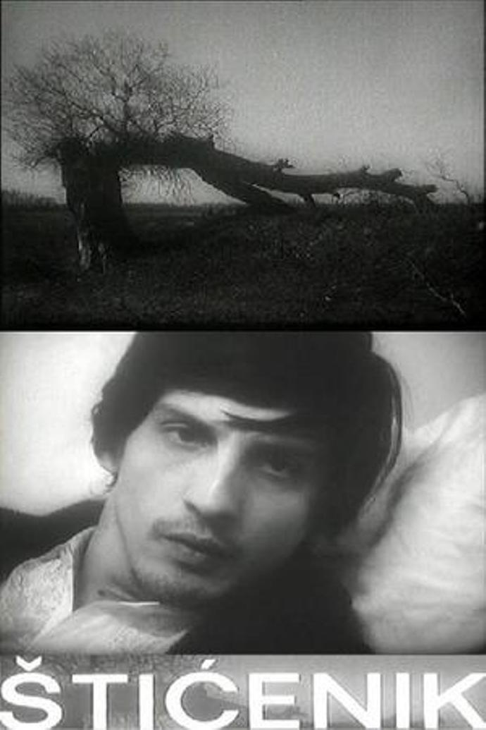 Sticenik (1973) Screenshot 1 