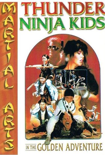 Thunder Ninja Kids in the Golden Adventure (1992) starring Mike Abbott on DVD on DVD