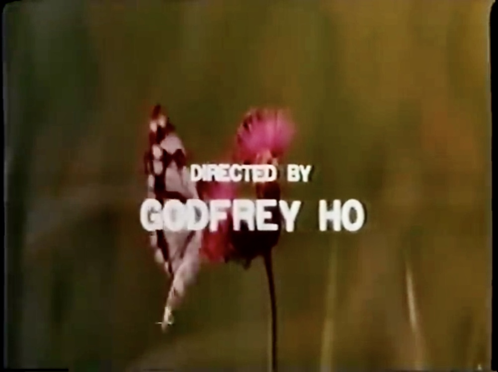 Fist of Golden Monkey (1983) Screenshot 3 