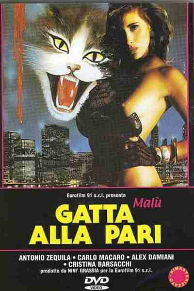 Gatta alla pari (1994) with English Subtitles on DVD on DVD