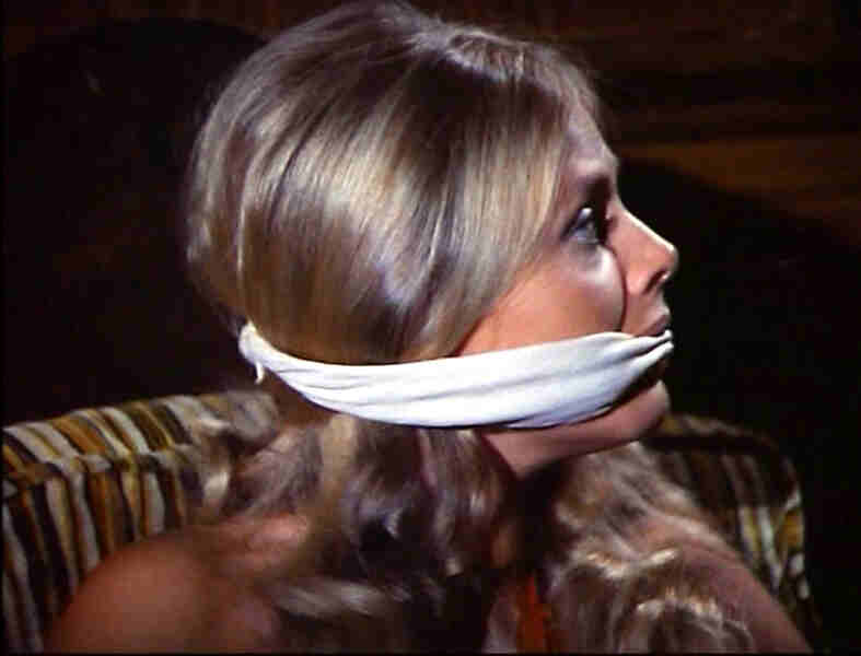 The Six Million Dollar Man: Wine, Women and War (1973) Screenshot 3