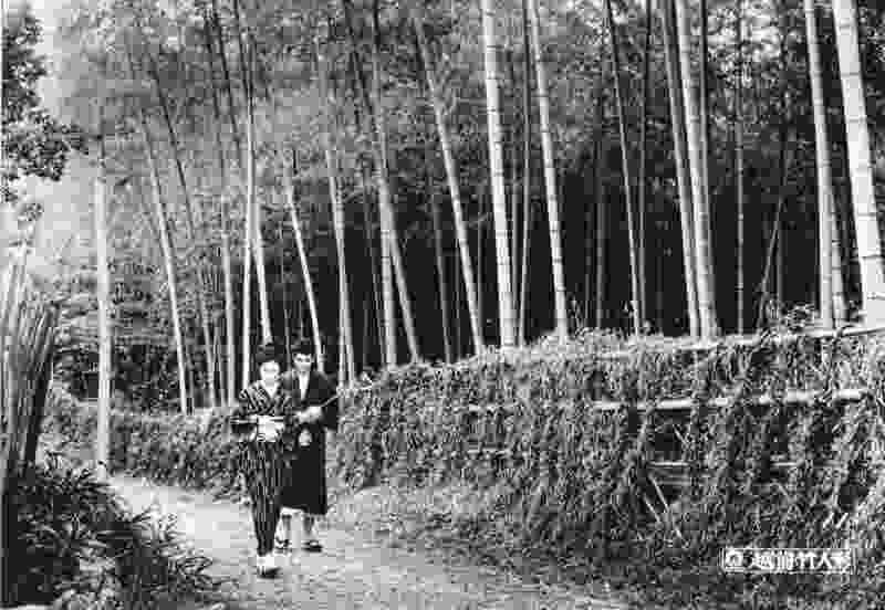 Bamboo Doll of Echizen (1963) Screenshot 1