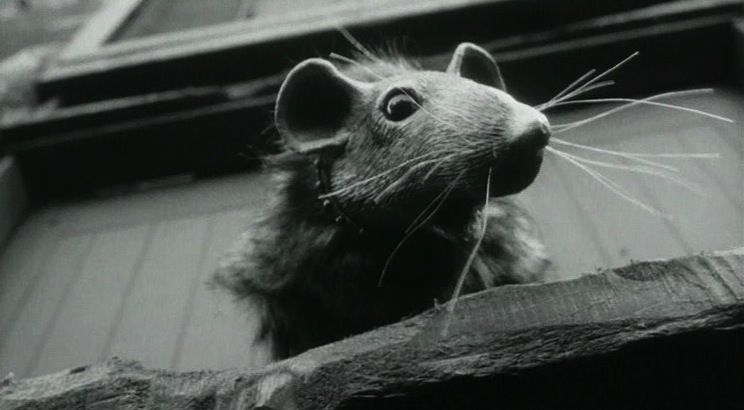 The Tale of the Rat That Wrote (1999) Screenshot 4