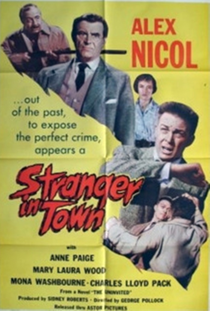 A Stranger in Town (1957) Screenshot 1 