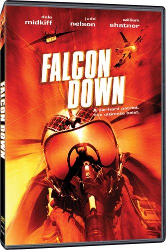 Falcon Down (2001) Screenshot 1