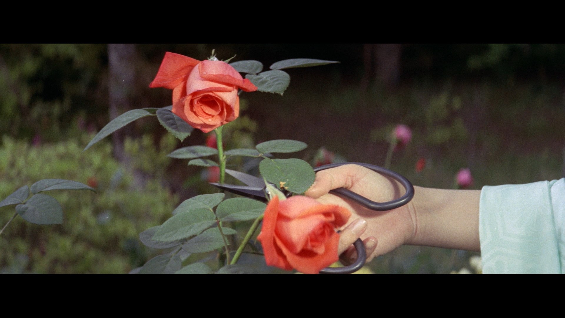 Flower and Snake (1974) Screenshot 4