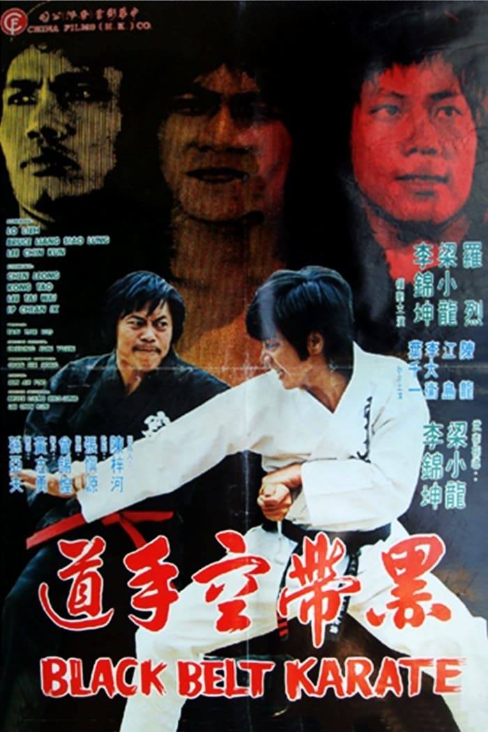 Black Belt Karate (1979) Screenshot 2 