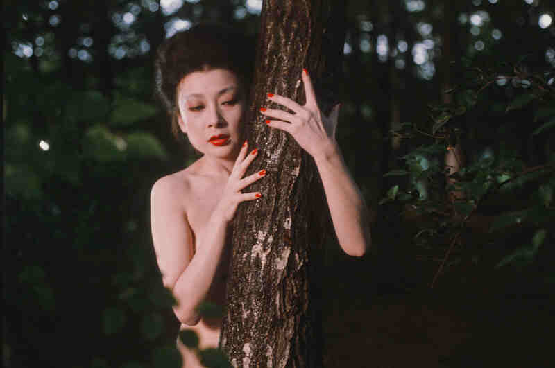Lady Karuizawa (1982) Screenshot 2