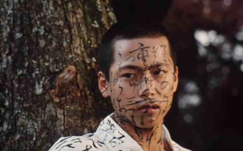 Grass Labyrinth (1979) Screenshot 1