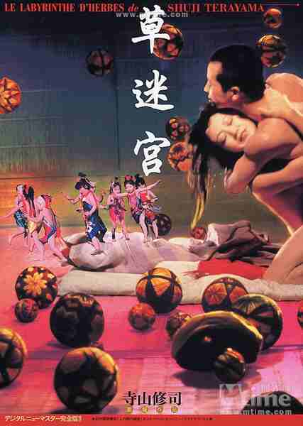 Grass Labyrinth (1979) Screenshot 4