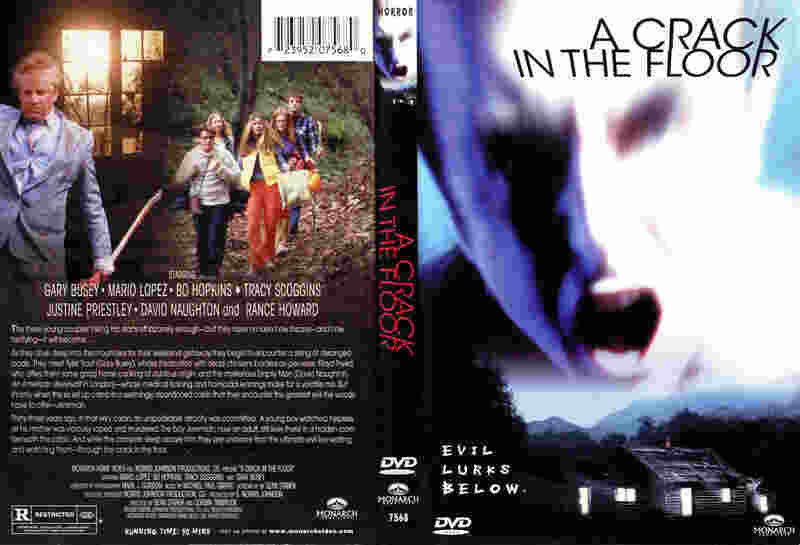 A Crack in the Floor (2001) Screenshot 4