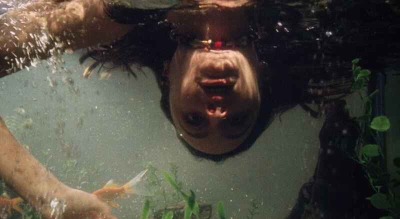 Lady Stay Dead (1981) starring Chard Hayward on DVD DVD Lady, Stay Dead (1981) Screenshot 4