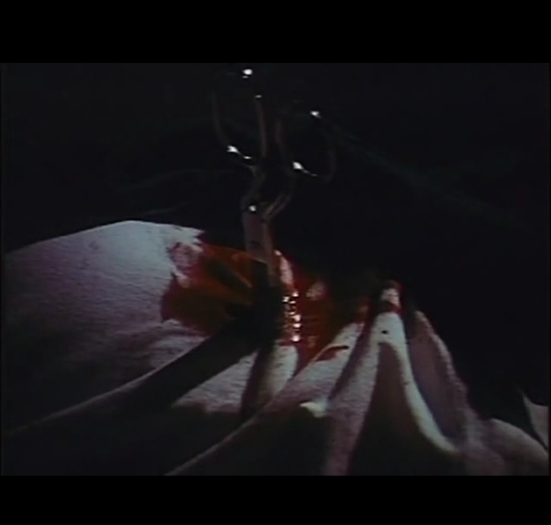 La muñeca perversa (1969) Screenshot 3 
