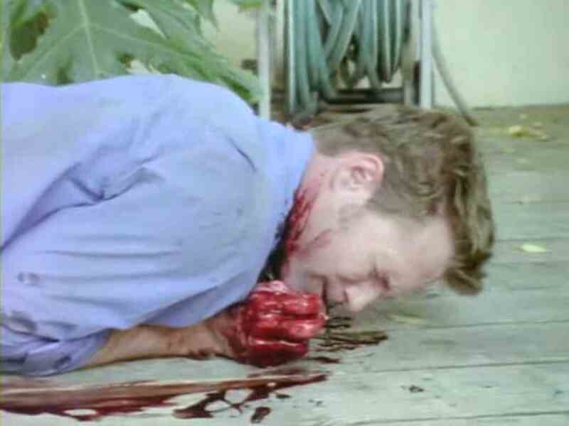 Voyeur.com (2000) Screenshot 2