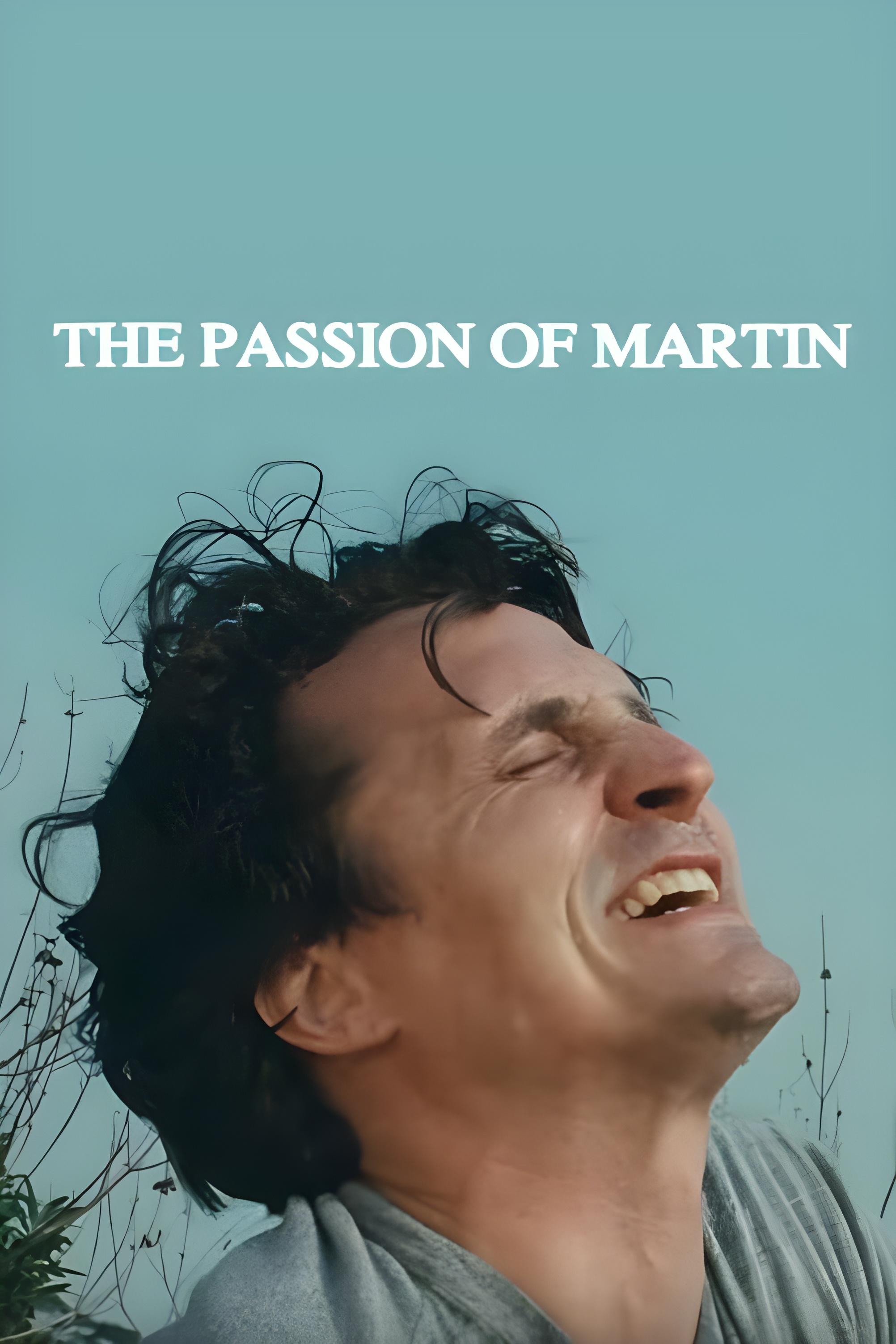 The Passion of Martin (1991) starring Holgie Forrester on DVD on DVD