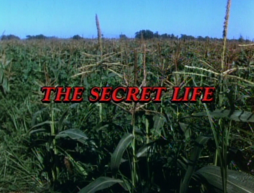 The Secret Life: Jeffrey Dahmer (1993) Screenshot 5 