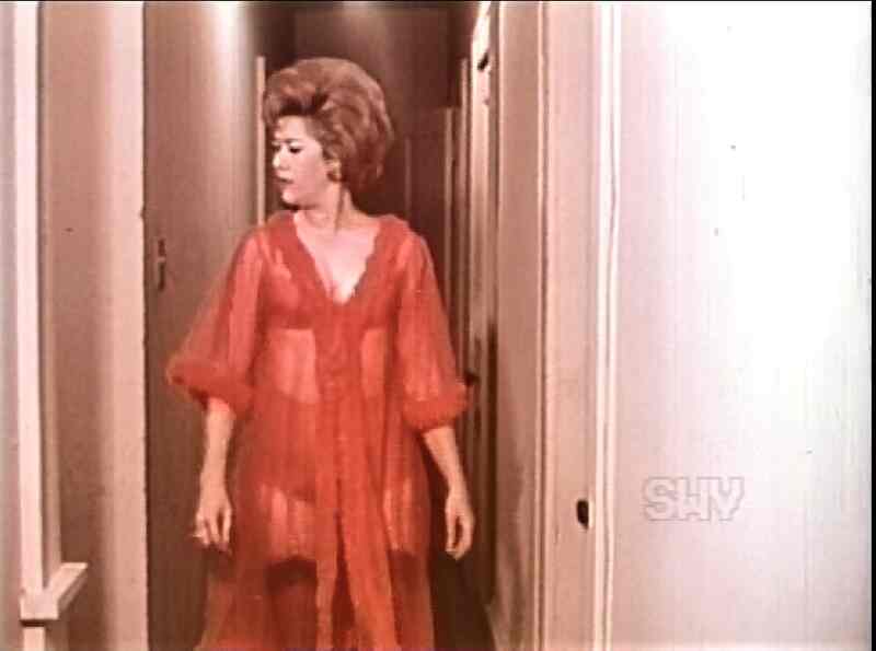 Scarlet Négligée (1968) Screenshot 4