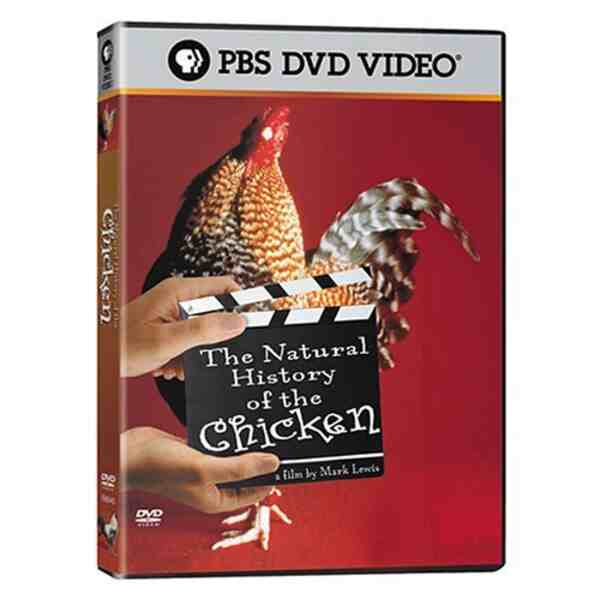 The Natural History of the Chicken (2000) Screenshot 4