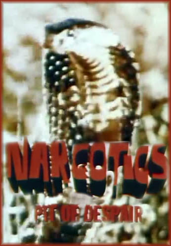 Narcotics: Pit of Despair (1967) starring Kevin Tighe on DVD on DVD
