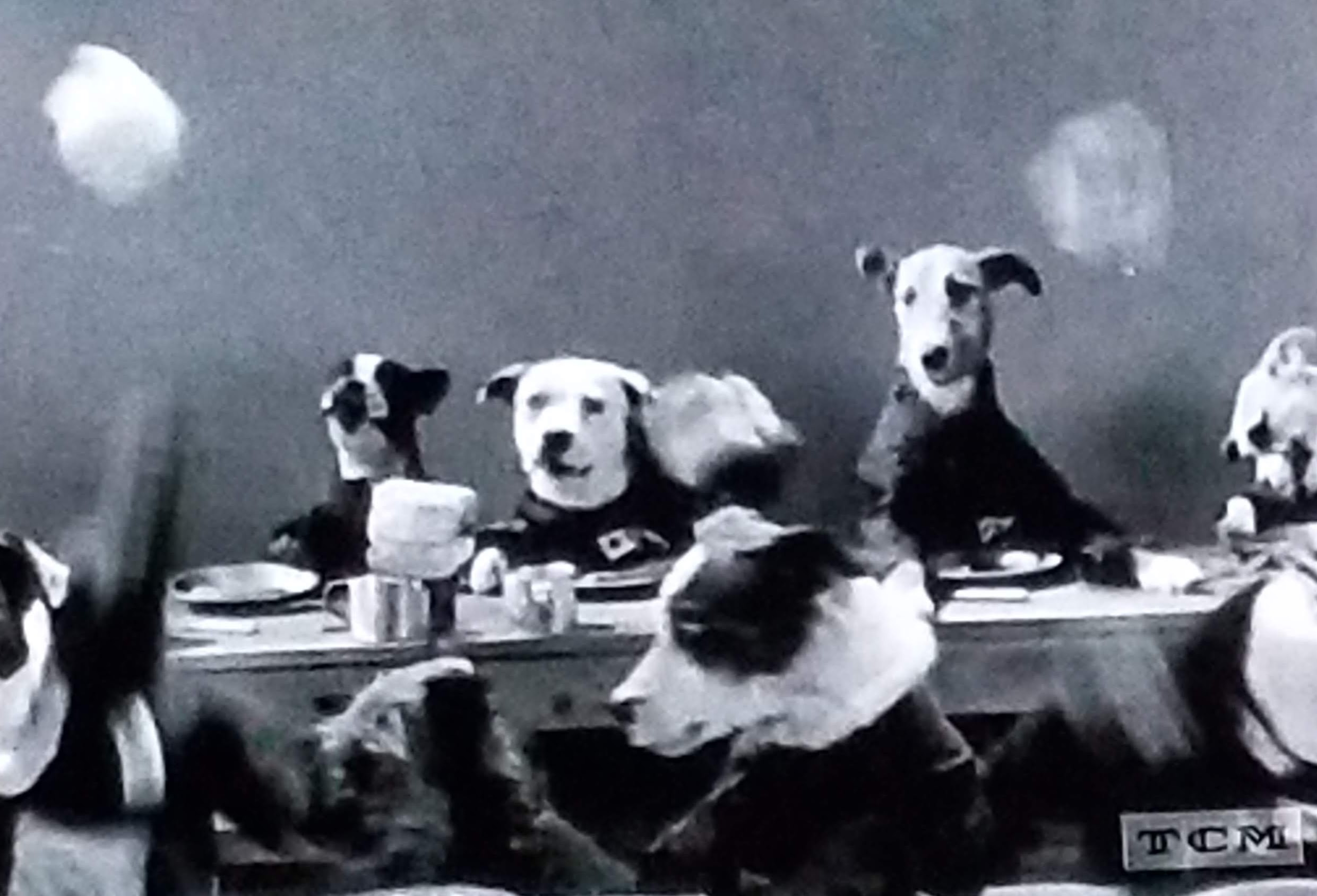 The Big Dog House (1931) Screenshot 1