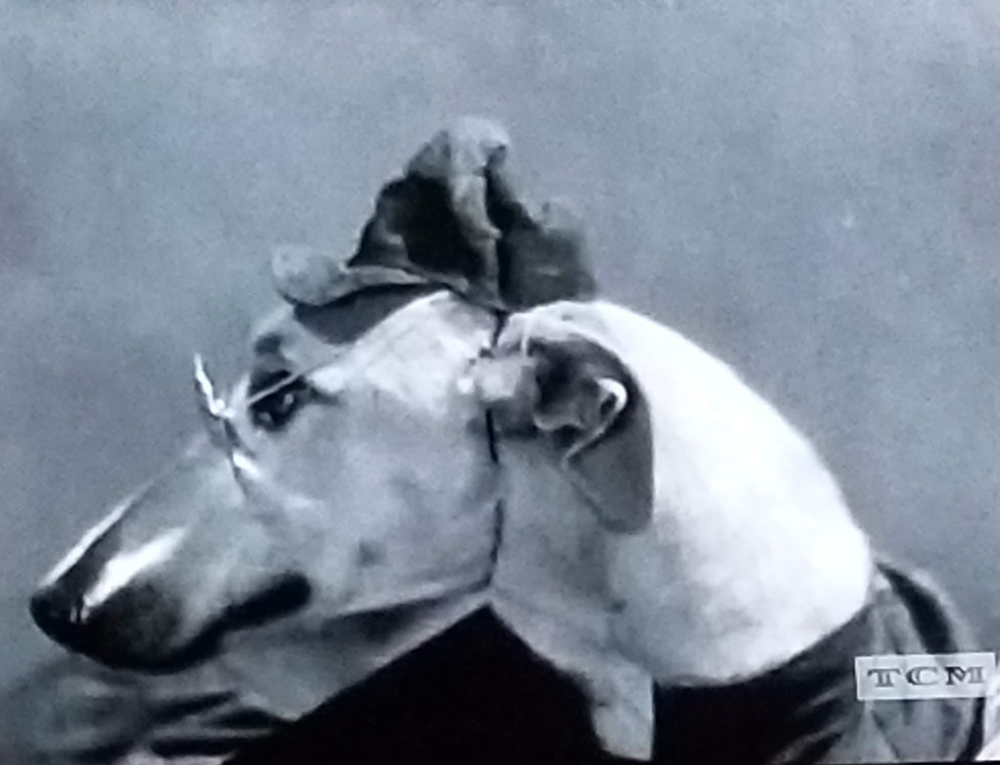 The Big Dog House (1931) Screenshot 2