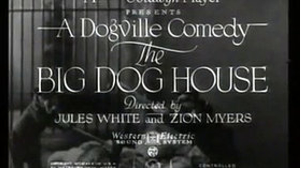 The Big Dog House (1931) starring N/A on DVD on DVD